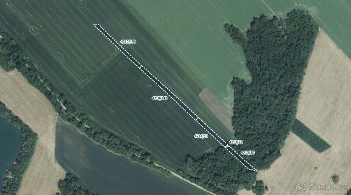 Zemědělská půda, prodej, Moravská Nová Ves, Břeclav