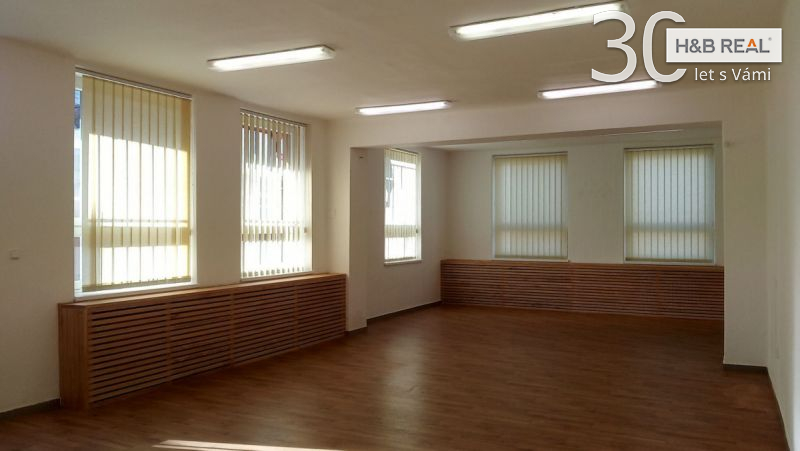 Pron. rek. kom. prostoru (obchod, jiné aktivity,...