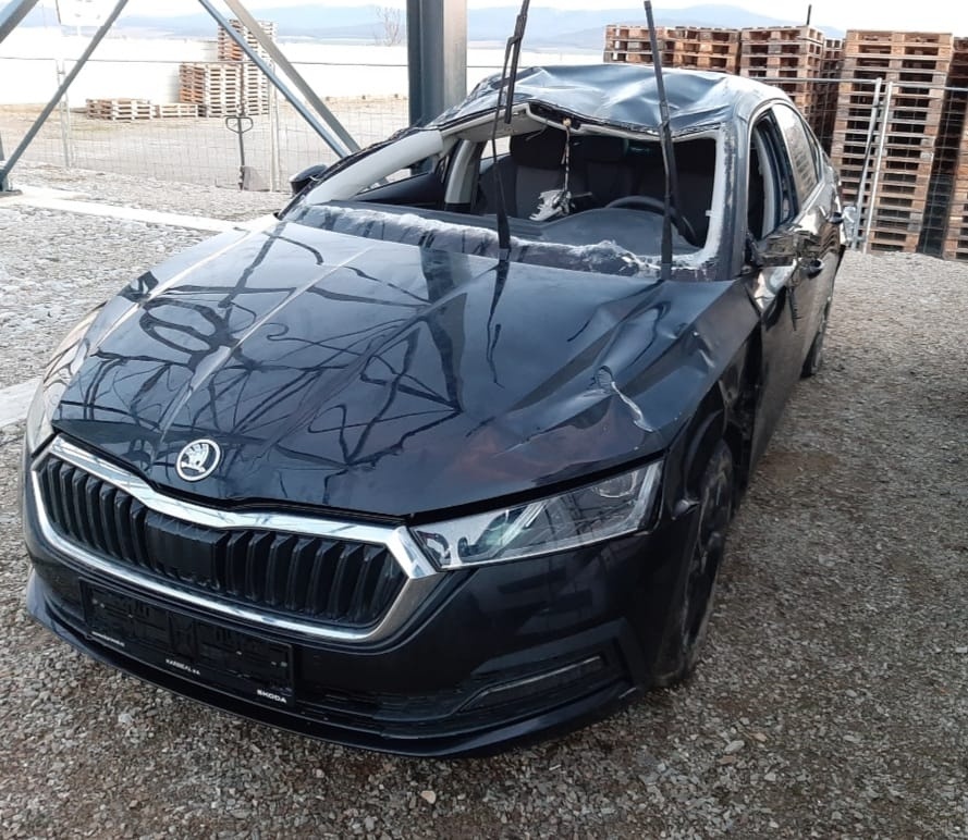 Octavia iv