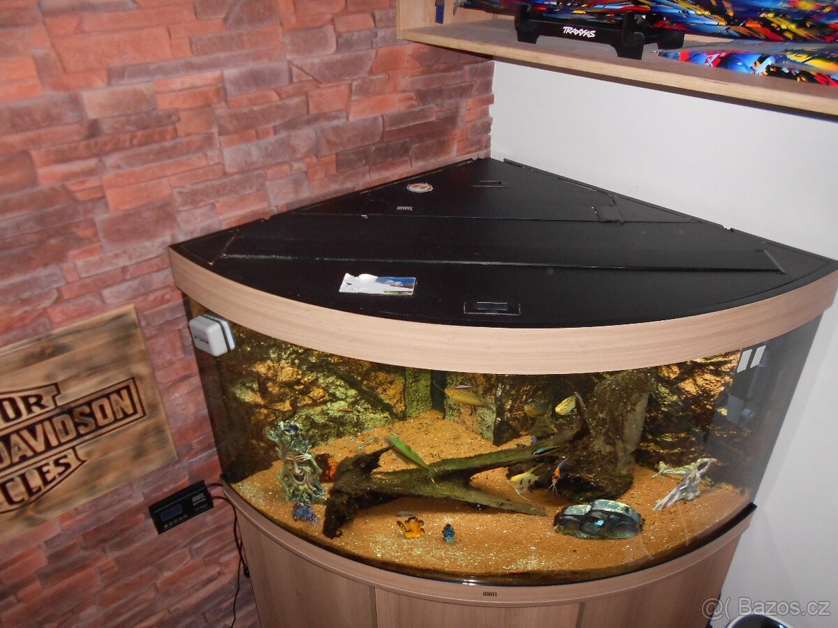 2Juwel akvarium