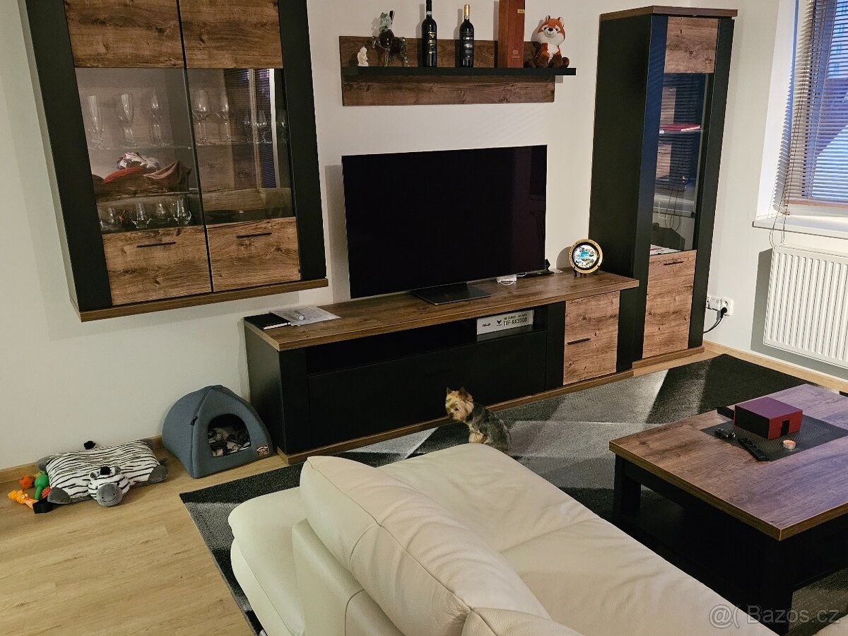 Roommates
