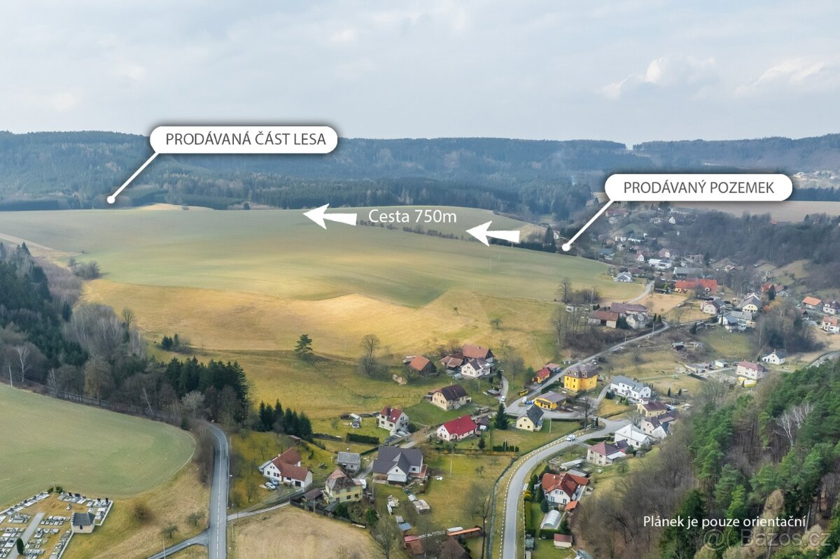 Stavební pozemek s vlastním lesem