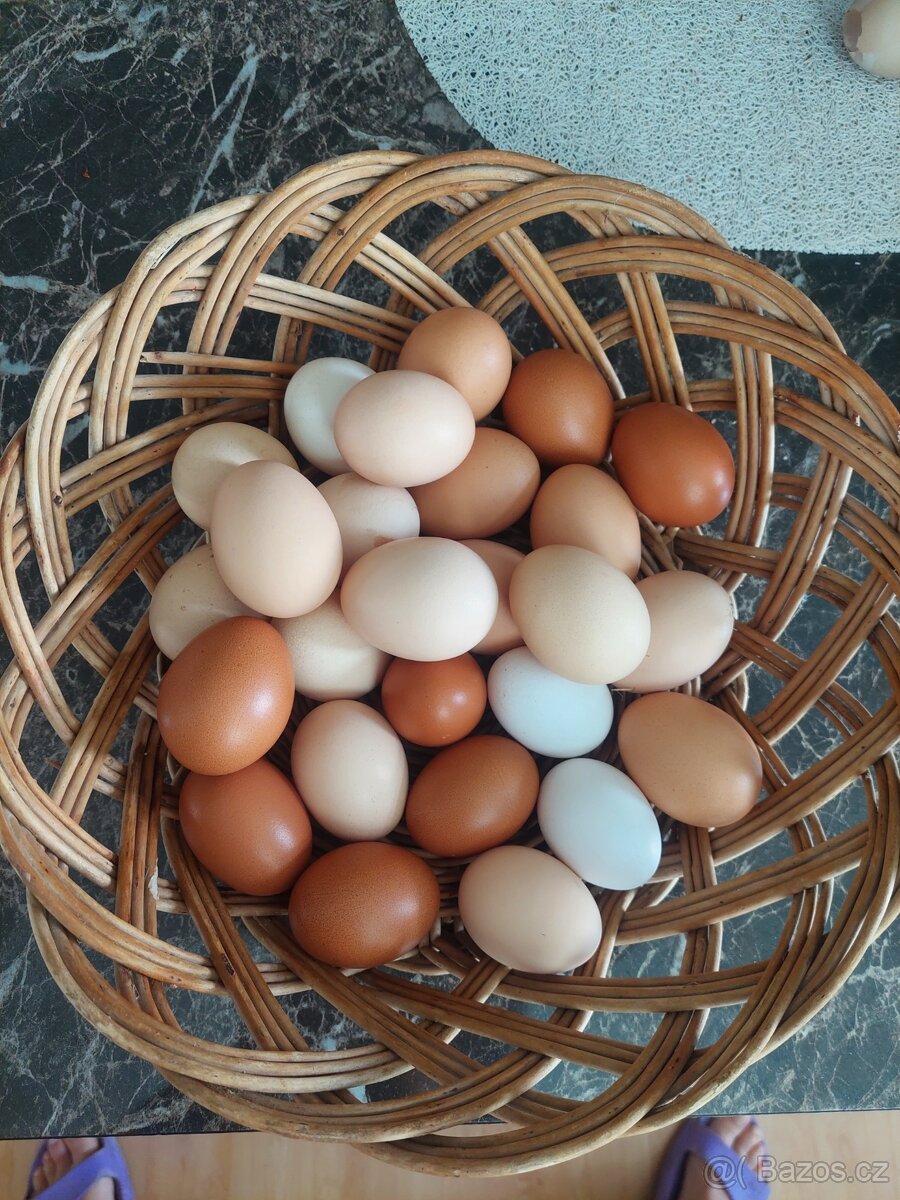 Domácí vejce z našeho chovu ,cena 5 Kč za kus