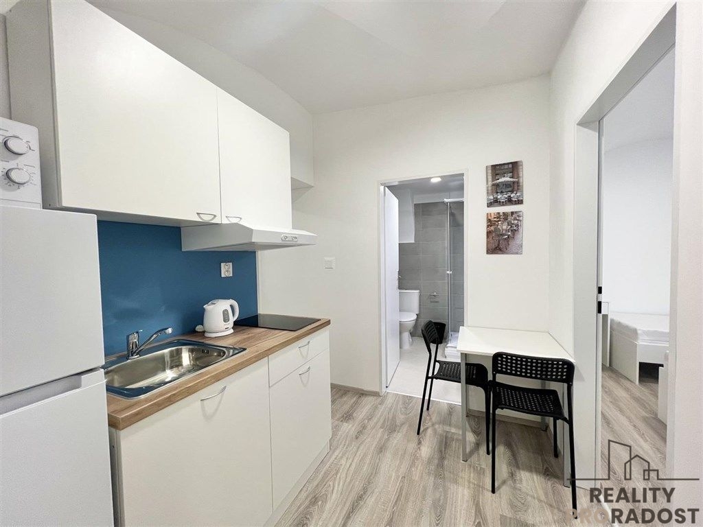 Podnájem bytu 2+1, 32,22m2, Mendlovo náměstí, Brno