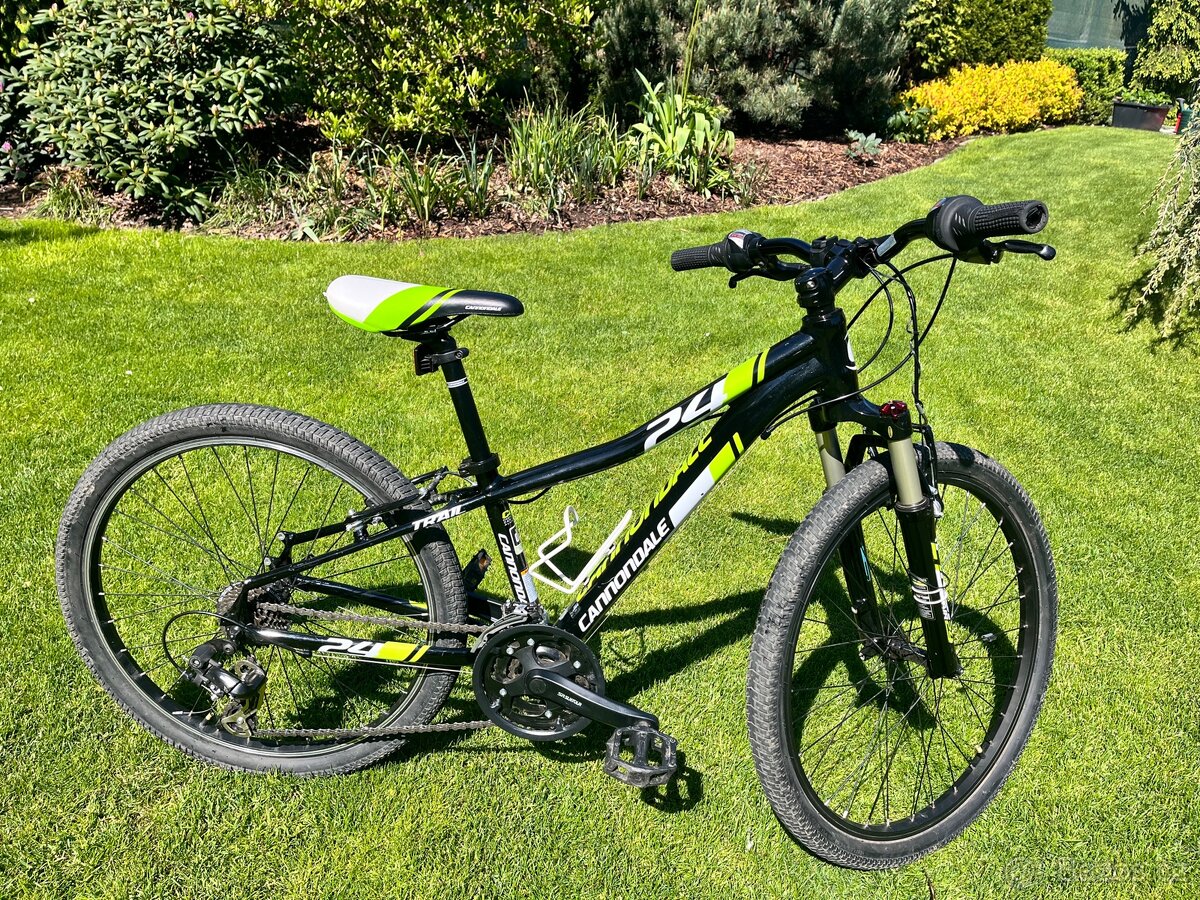 Cannondale 24