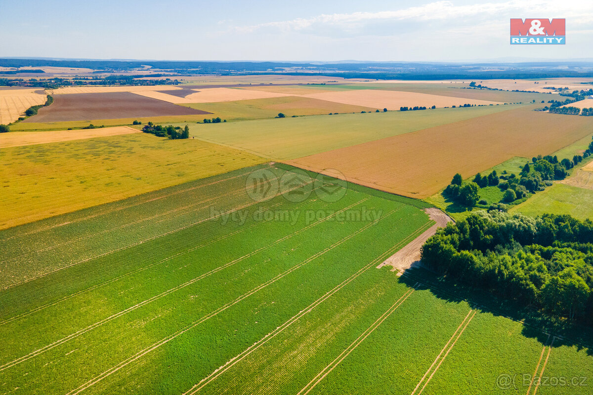 Prodej podílu 1/8 louky, 31349 m², Kotovice