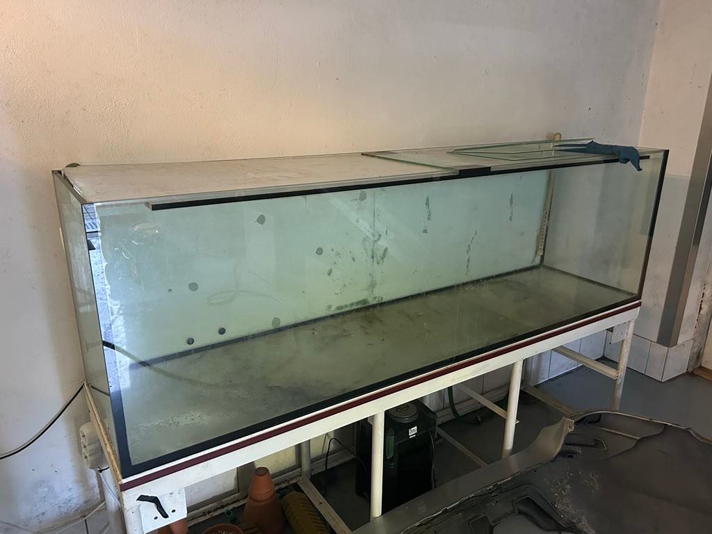 Akvárium 600l 2005060