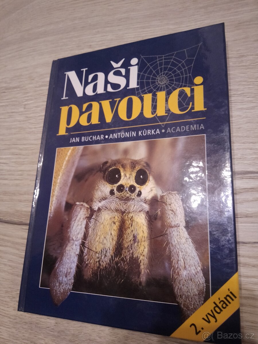 Motýli, pavouci