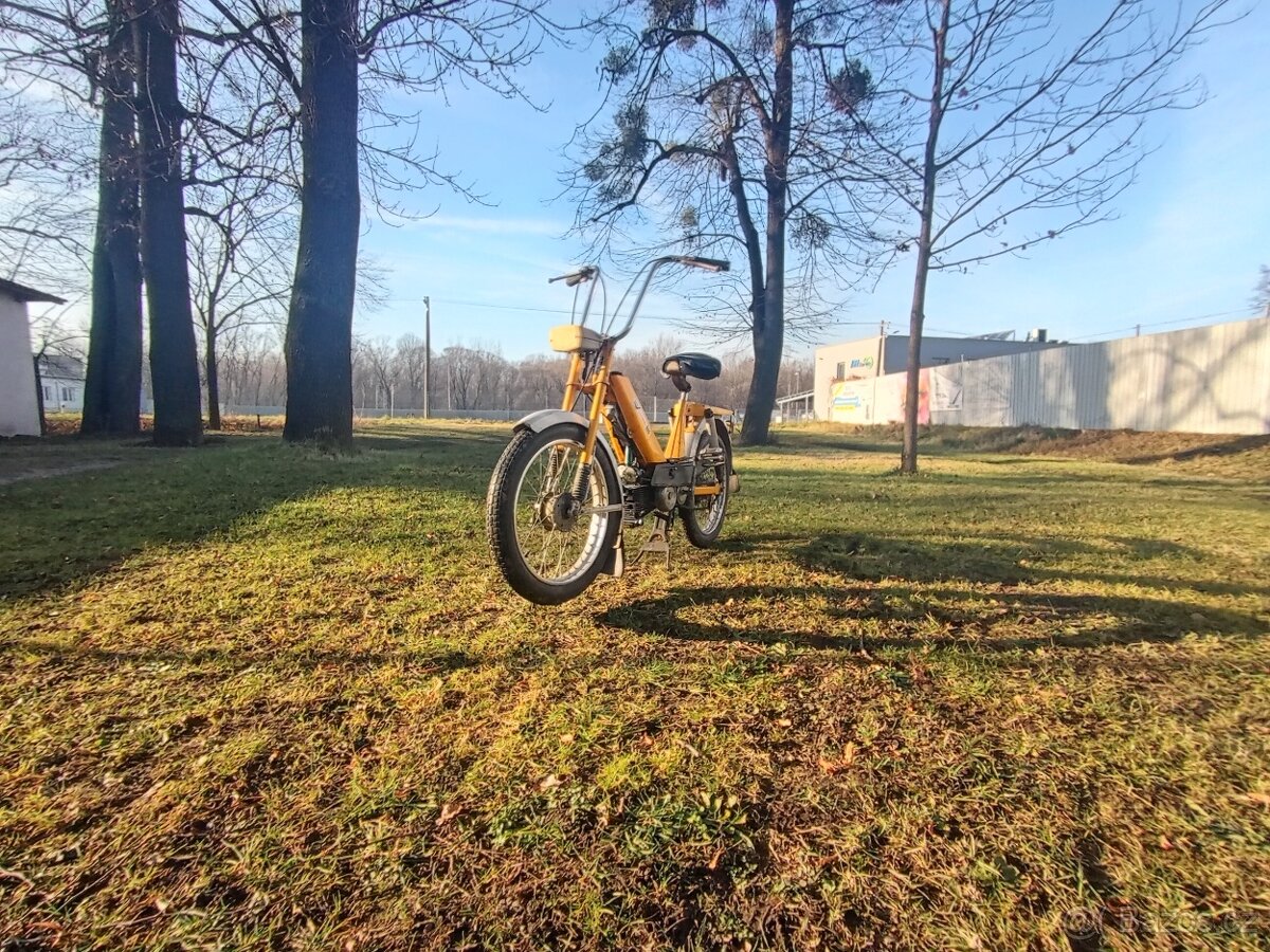 Babetta 207
