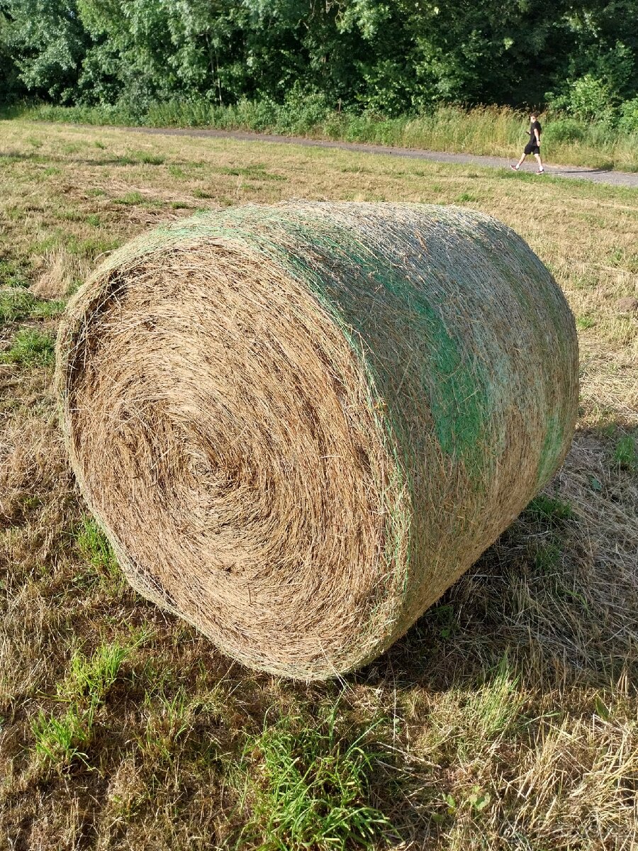 Seno kulaté balíky