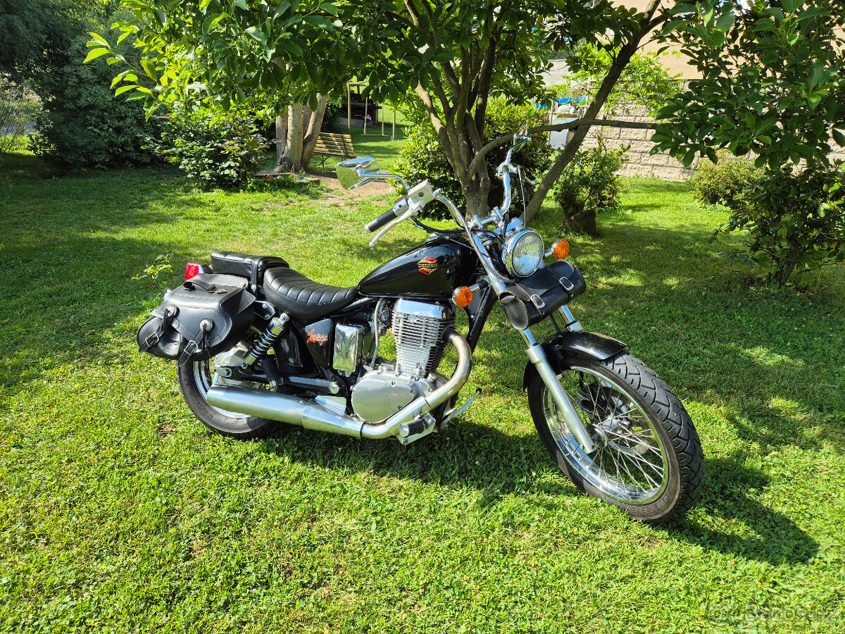 Suzuki LS 650 Savage