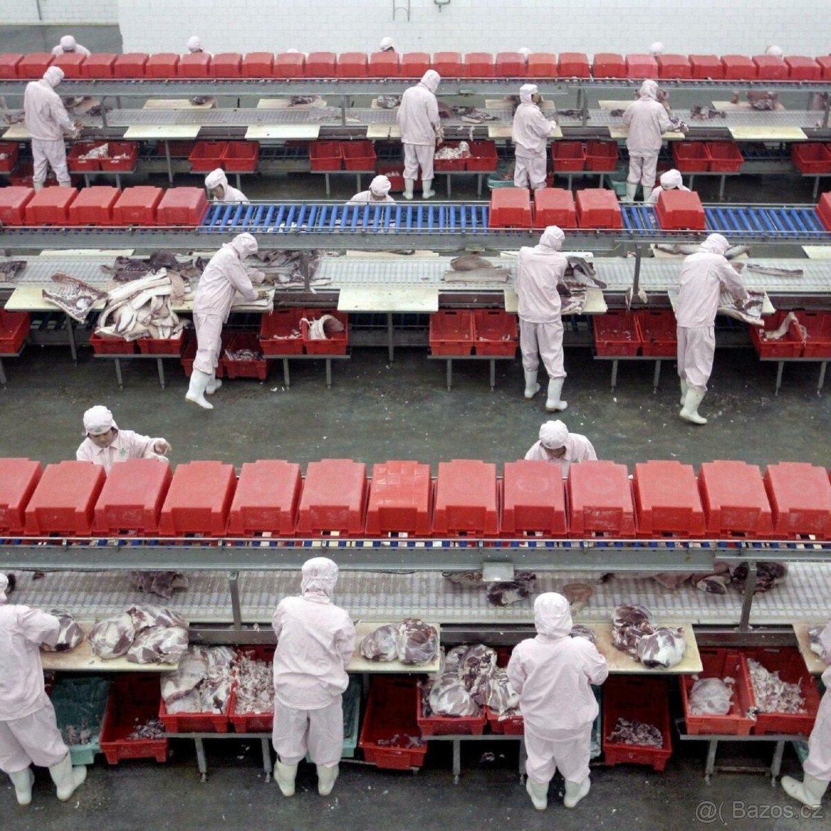 DĚLNÍKY DO ZÁVODU NA SALÁMY V RAKOUSKU