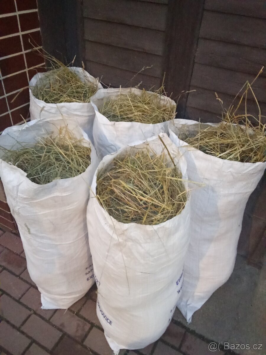 Seno v pytlich pro morčata a králíky