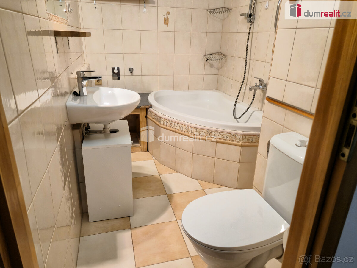 Pronájem, byt, 2+1, sídl. Plešivec, Český Krumlov