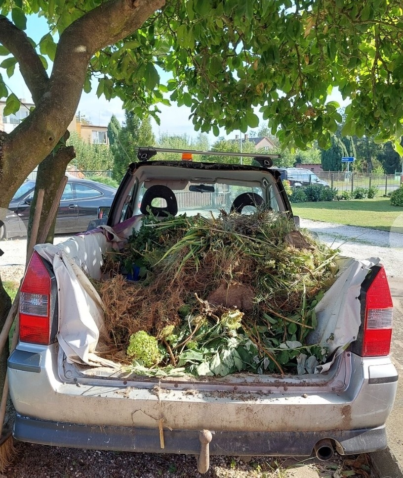 Mitsubishi Space wagon