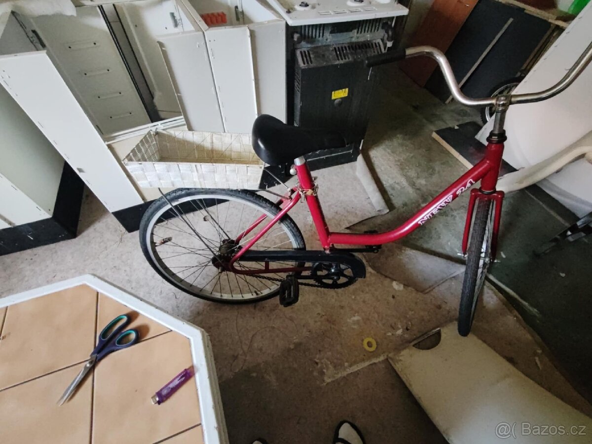 Kolo 24"