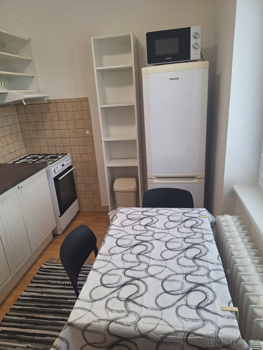 Pronájem bez RK bytu 2+1 Brno Veveří ulice Úvoz