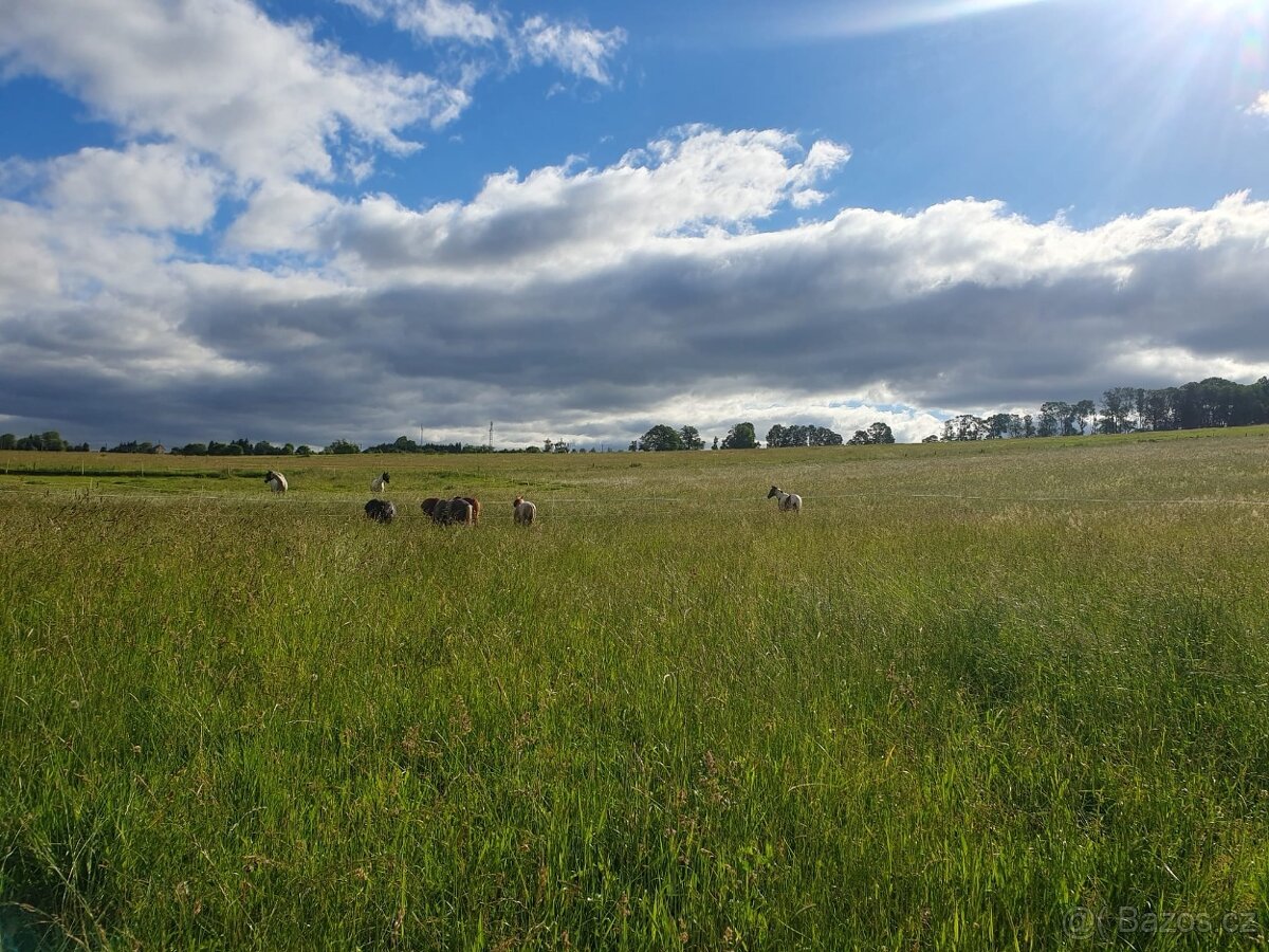 Nabízíme 2 volné boxy v obcí Dobrná u Děčína