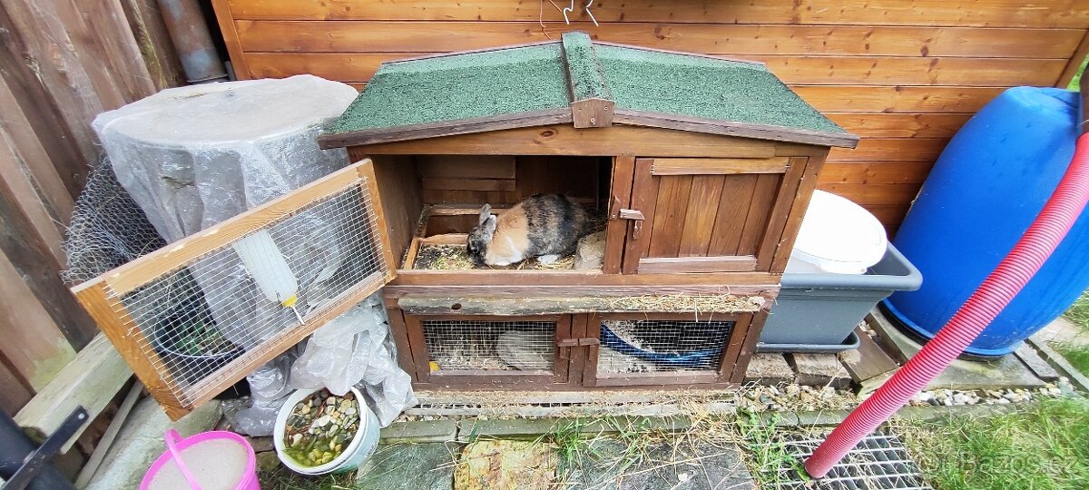 Zakrslý králíček včetně klece