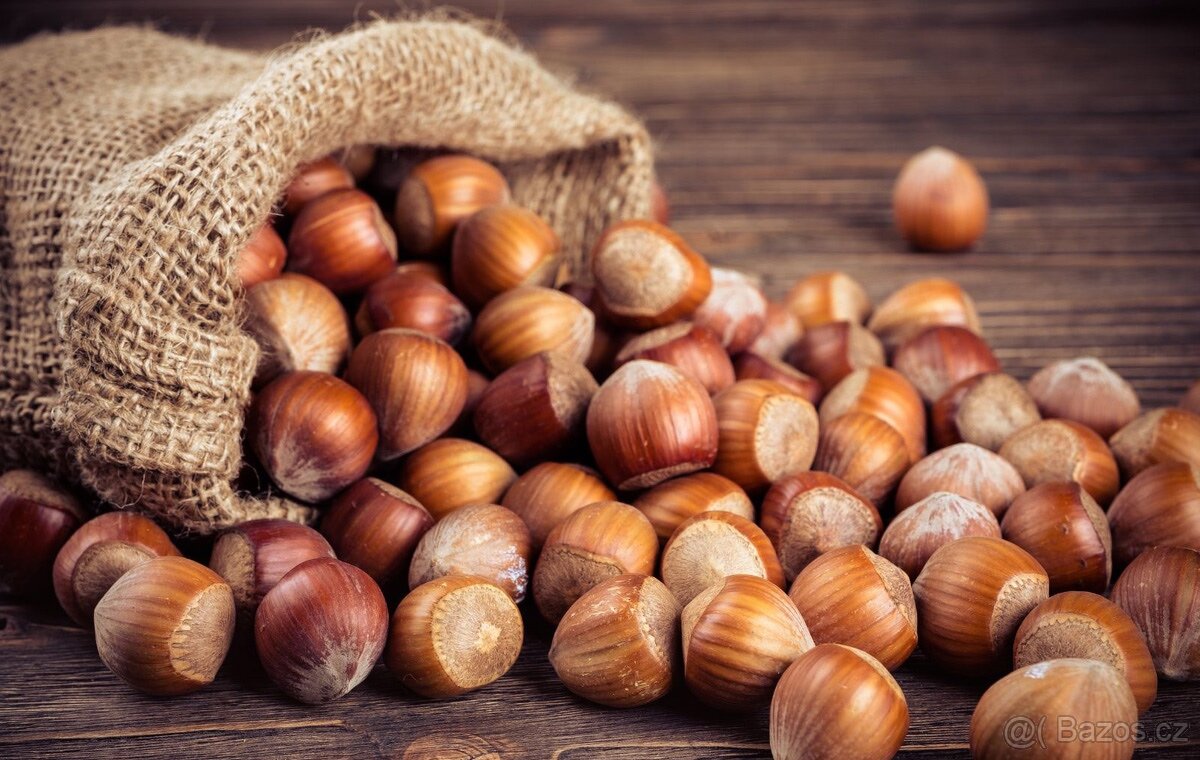 Lískové oříšky