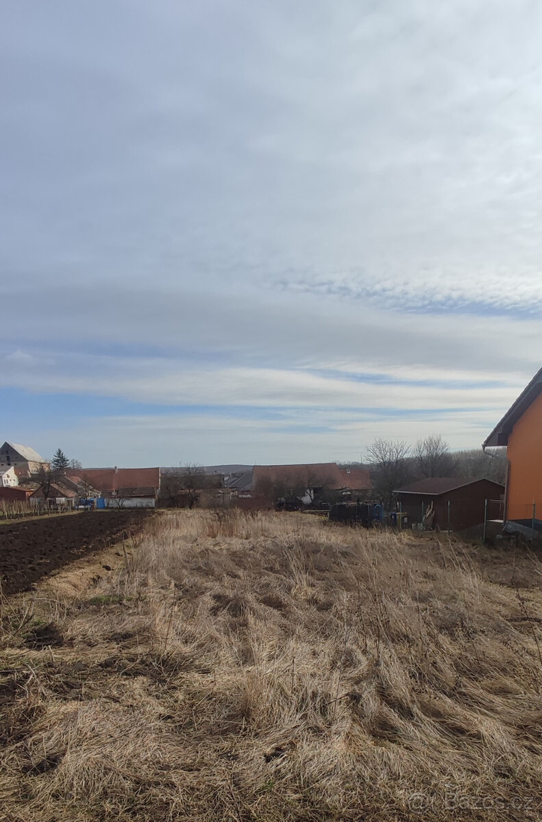 Prodej stavebního pozemku v Drnholci okr. Břeclav