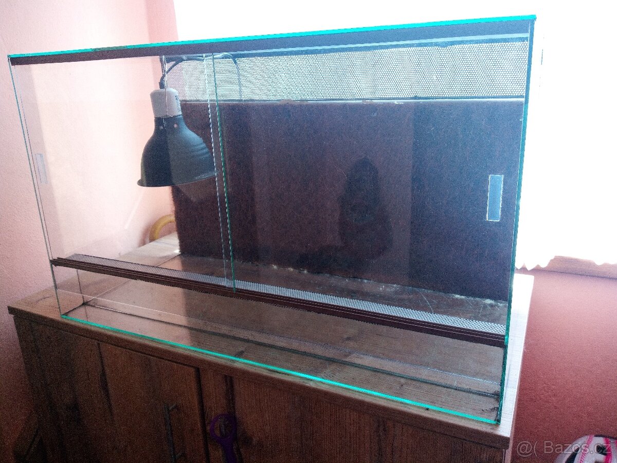 Terárium
