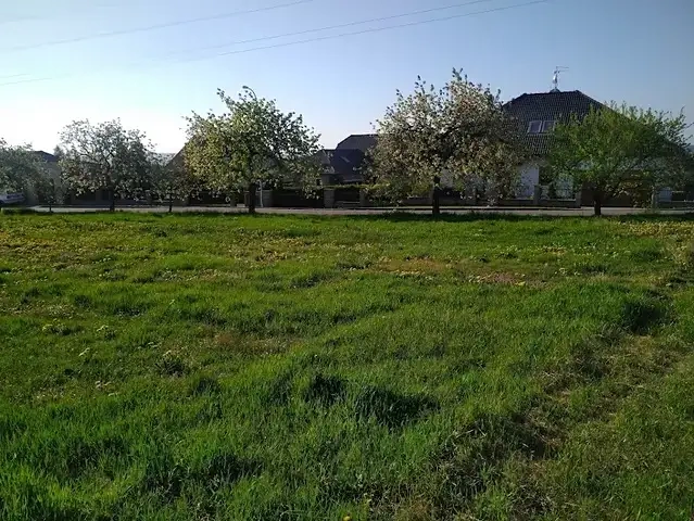 Prodej stavebního pozemku 800 m² Radimovice u Želče