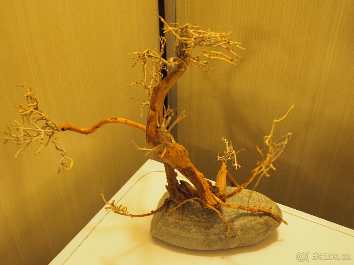 Akvarijní dekorace - bonsai