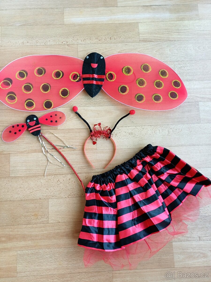 Karnevalový kostým BERUŠKA