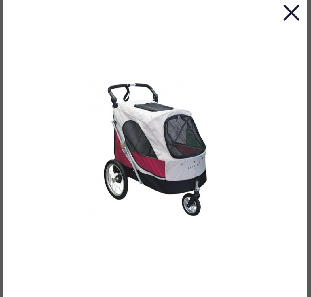 Kočárek na výstavy