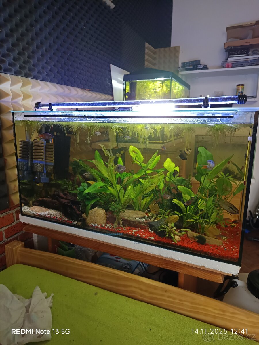 Zaběhlé akvárium 128 Litrů