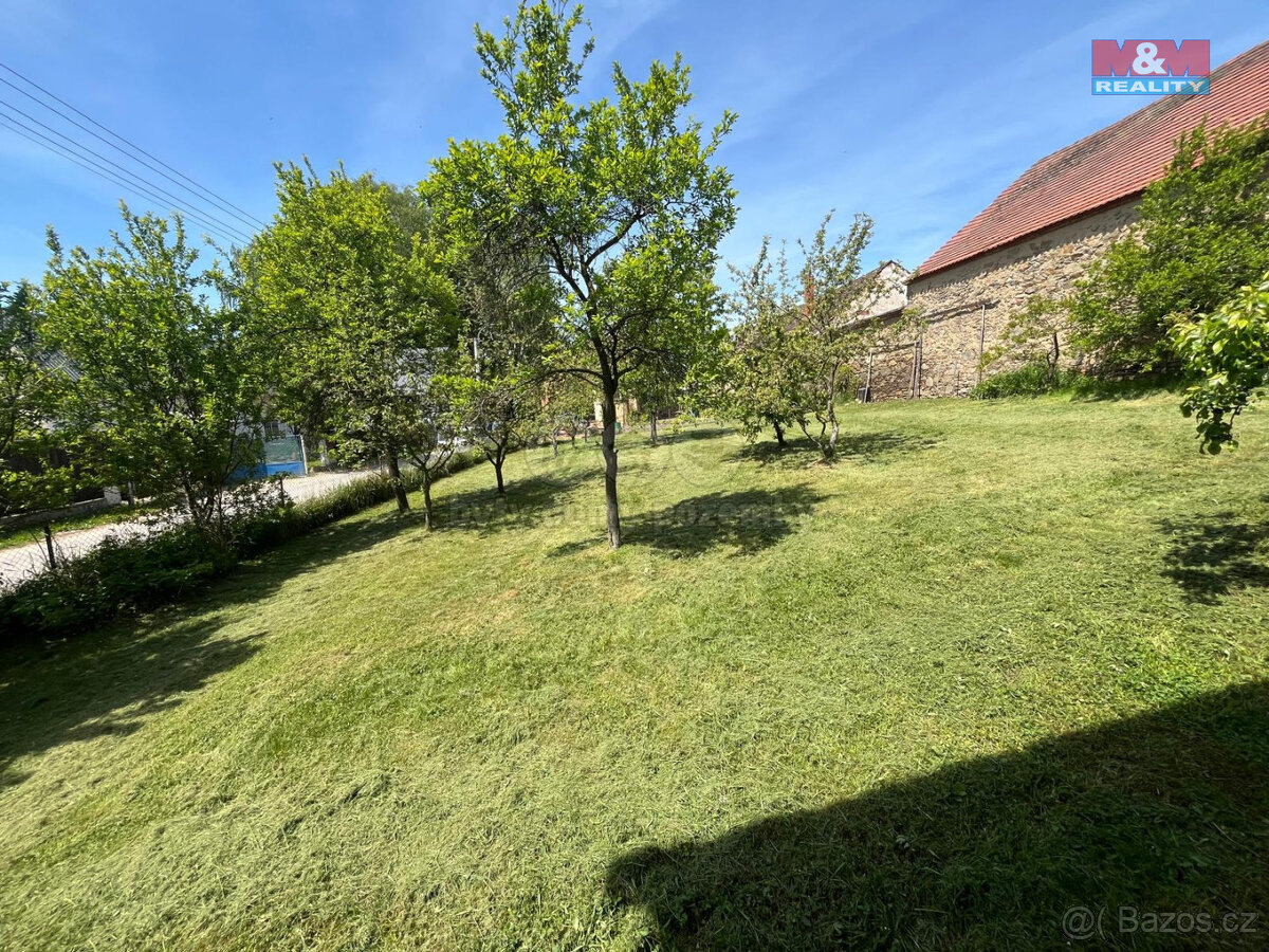 Prodej pozemku, 605 m², Čížová - Borečnice