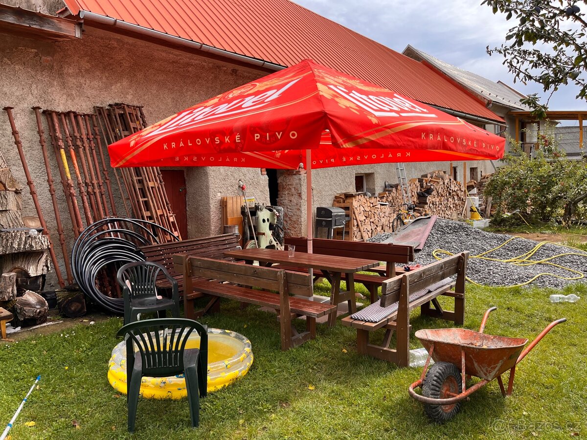 Hospodský sluněcník