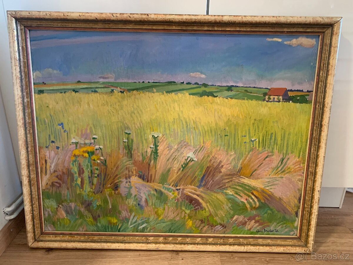 PRODÁM OBRAZ NA PLÁTNĚ- KRAJINA