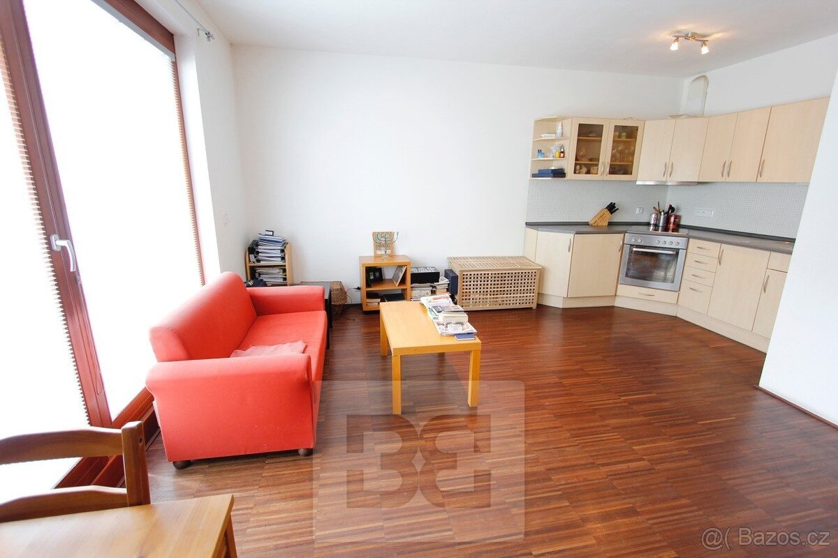 Krásný moderní prostorný byt 1+kk na Praze 8 - Karlíně, Koll