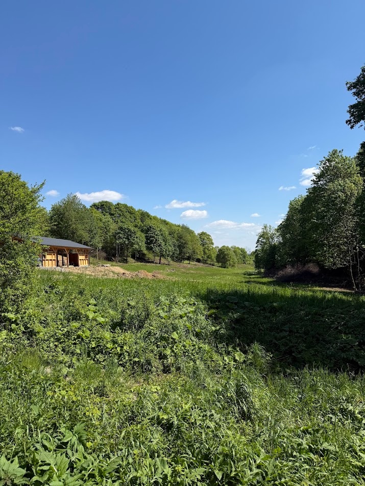 Nabízíme boxové ustájení u Nového Jičína