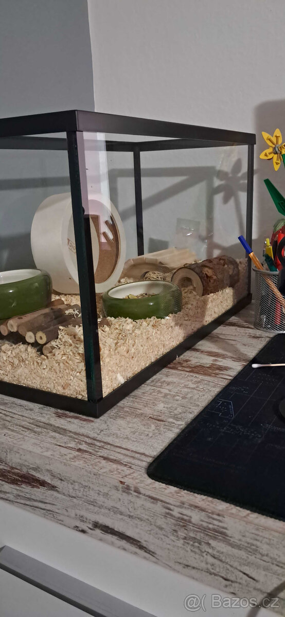 Roztomilé akvárko pro křečka