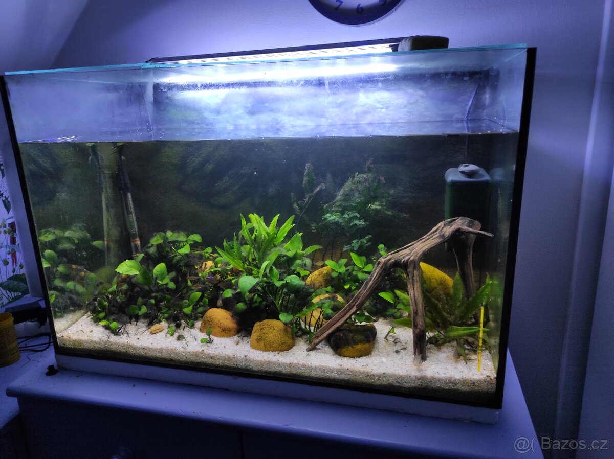 Akvárium 160l