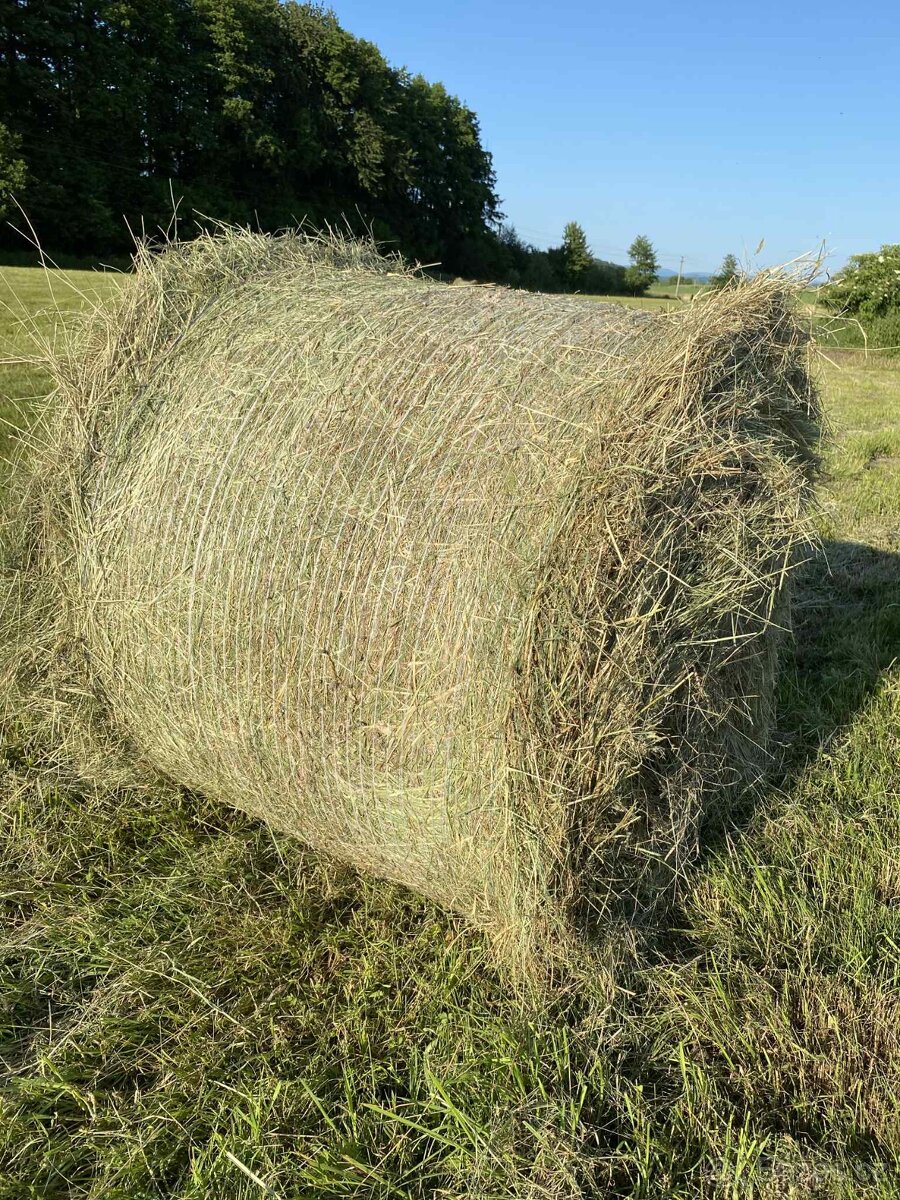 Seno - kulaté balíky