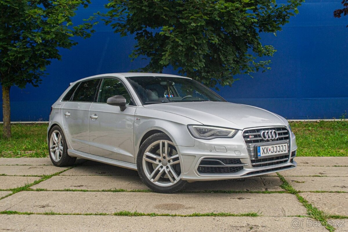 Audi S3 8V 2.0 TFSi