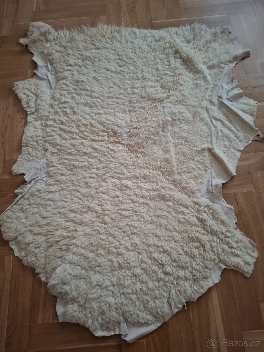 Ovčí kůže