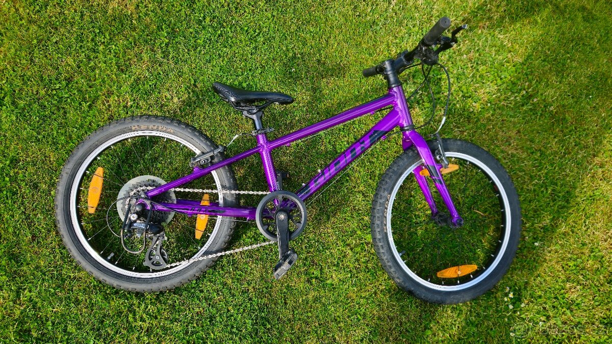 Dětské kolo Giant ARX 20 Purple