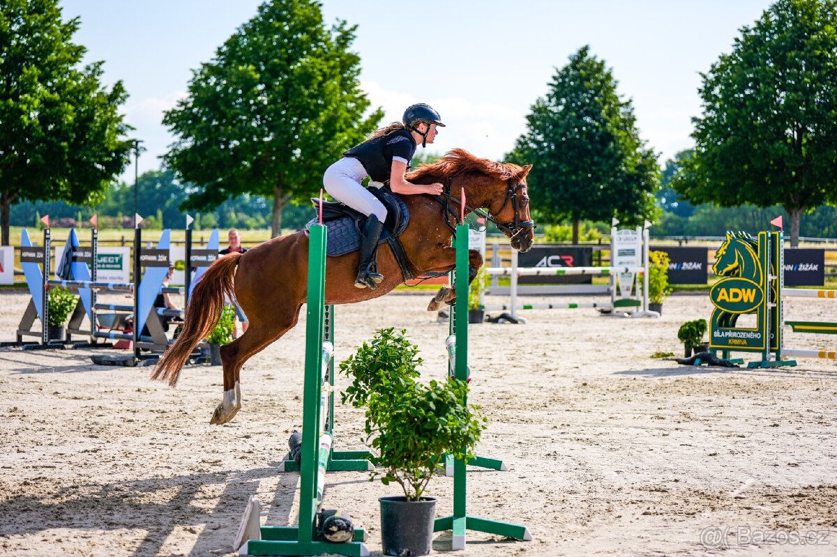 Pony B do sportu