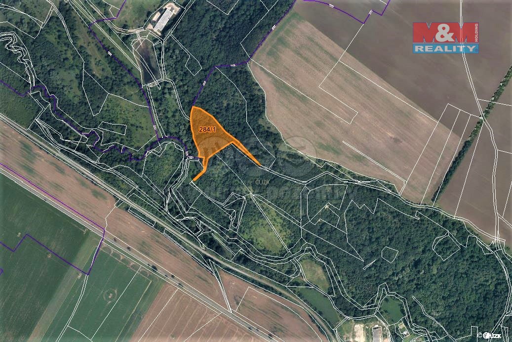 Prodej lesa, 10077 m², Žiželice u Žatce