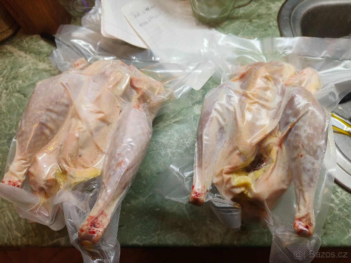 Prodám domácí kohouty a slepice