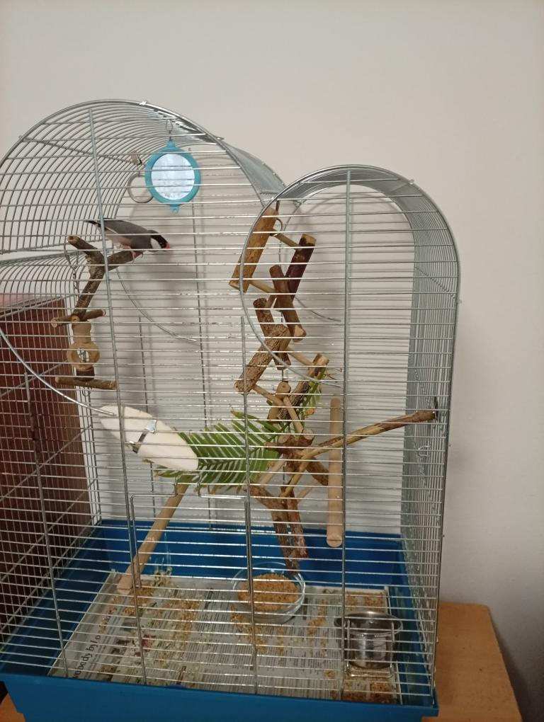 Daruji rýžovníka i s klecí a vybavením