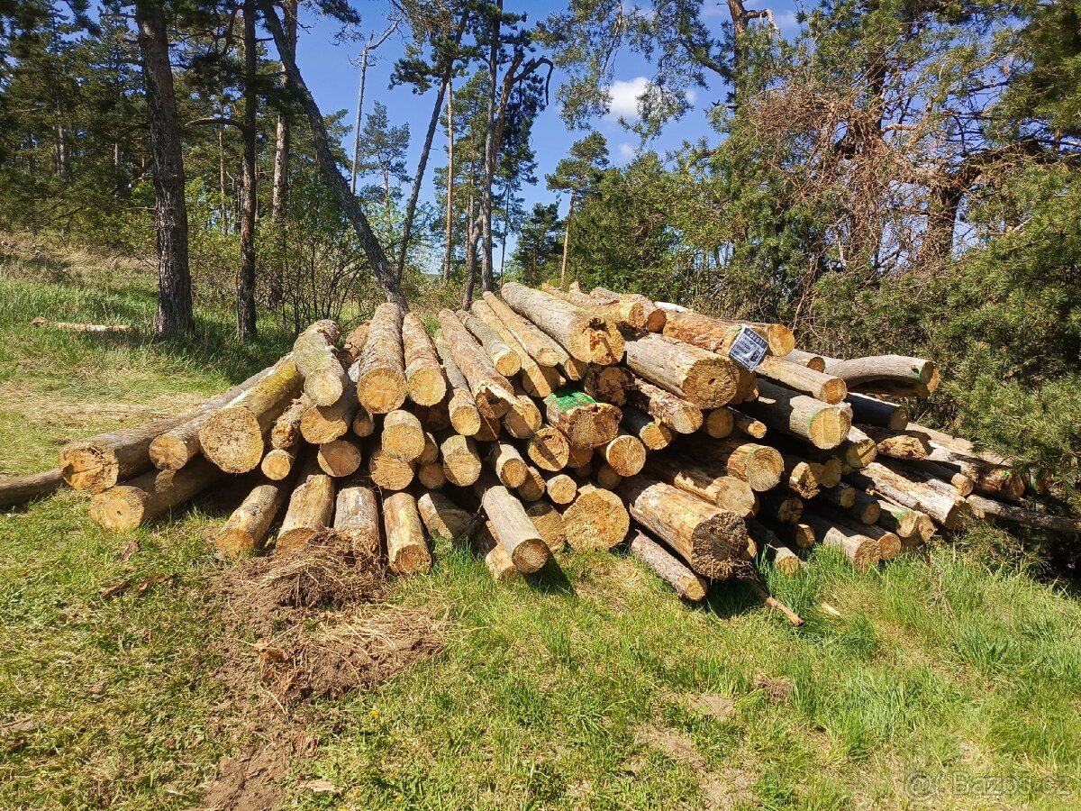 Palivové dřevo.