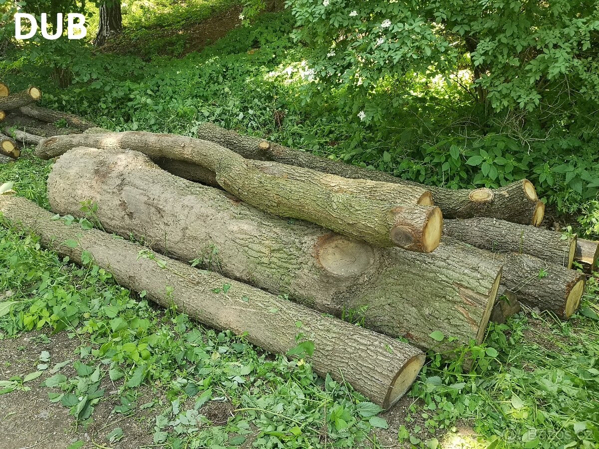 Palivové dřevo - dub, osika