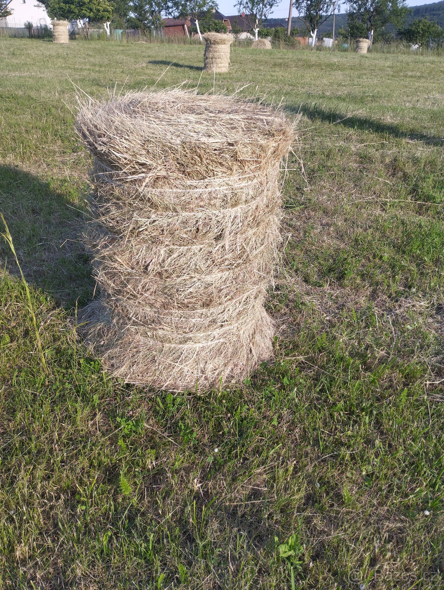 Seno malé kulaté balíky