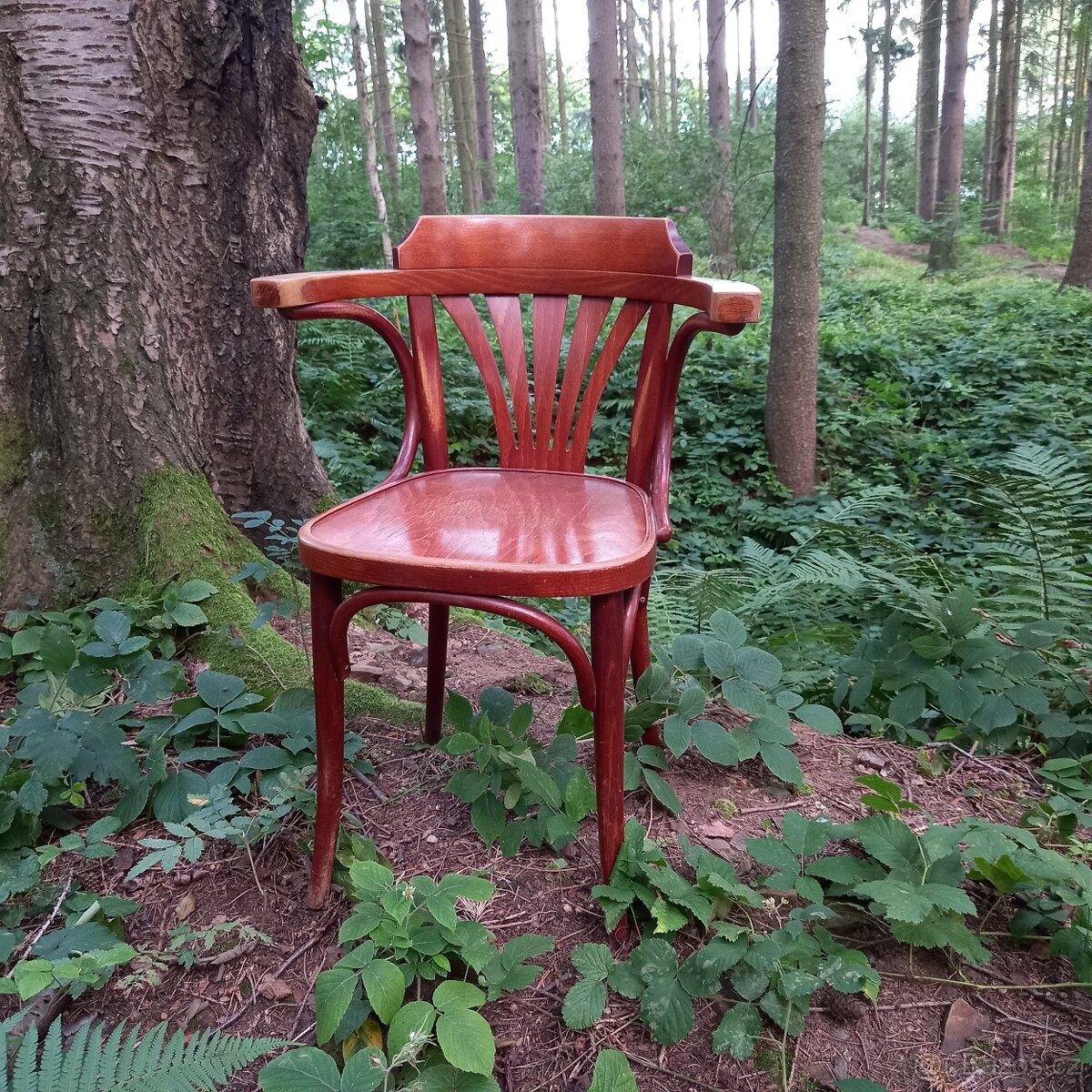 Thonet s područkami